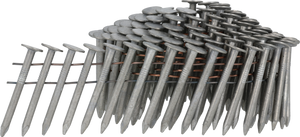 SENCO - Coil Nails 16° Hot Zinc, Smooth (3.1 x 20-45 mm)