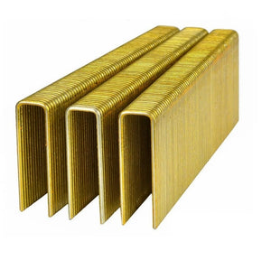 155/M2 tipas - Kabės, nerūdijantis plienas (50 mm) (16 ga) (10000 vnt)