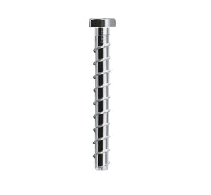 Eurotec - Betonsraigtis šešiakampe galva (10.5 x 80 mm) (100 vnt)